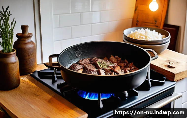 프랑스식 고기 스튜 기본 요리법 - A rustic kitchen scene featuring a heavy-duty Dutch oven on a wooden stove with chunks of well-marbl...